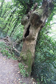 DSC01375.jpg