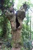 DSC01376.jpg