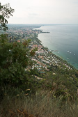 DSC01391.jpg