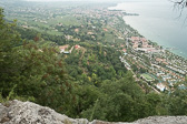 DSC01398.jpg