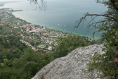 DSC01399.jpg