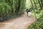 DSC01404.jpg