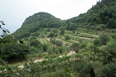 DSC01406.jpg