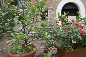DSC01407.jpg