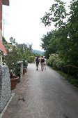 DSC01408.jpg