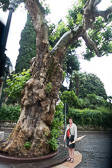 DSC01468.jpg