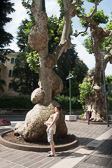 DSC01565.jpg