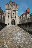 DSC01607.jpg