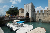 DSC01611.jpg