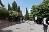 DSC01649.jpg
