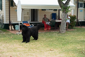 DSC01762.jpg