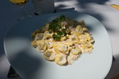 DSC01833.jpg