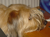 DSC08562.jpg