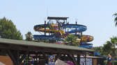 IMG_2847.jpg