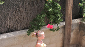 IMG_2941.jpg