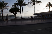 IMG_6409.jpg