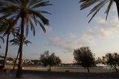 IMG_6431.jpg