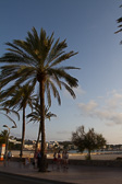 IMG_6432.jpg