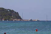 IMG_6599.jpg