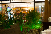 IMG_7212.jpg