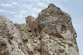 IMG_7351.jpg