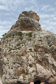 IMG_7352.jpg