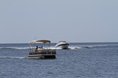 IMG_7379.jpg