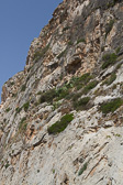 IMG_7435.jpg