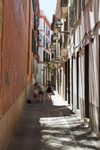 IMG_7542.jpg