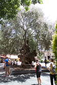 IMG_7572.jpg