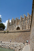 IMG_7586.jpg