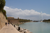IMG_7589.jpg