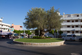 IMG_7714.jpg