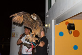 IMG_7854.jpg
