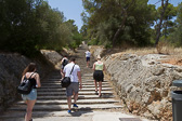 IMG_8204.jpg