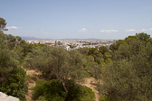 IMG_8218.jpg