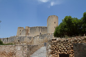 IMG_8231.jpg