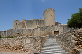 IMG_8232.jpg