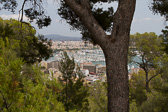 IMG_8260.jpg