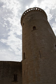 IMG_8264.jpg