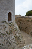 IMG_8265.jpg