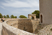 IMG_8268.jpg