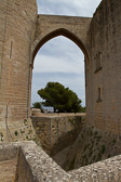 IMG_8273.jpg