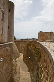 IMG_8274.jpg