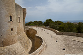 IMG_8286.jpg