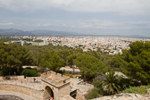 IMG_8305.jpg