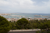 IMG_8313.jpg