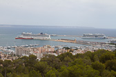 IMG_8315.jpg