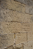 IMG_8325.jpg