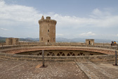 IMG_8342.jpg